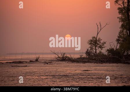 Un coucher de soleil doré captivant jette une lumière chaude sur le paysage tranquille des Sundarbans au Bangladesh, la plus grande forêt de mangroves du monde. Banque D'Images