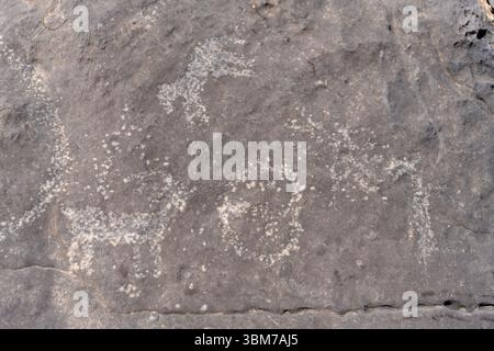 Vue détaillée des sculptures rupestres préhistoriques et des pétroglyphes sur la surface de pierre grise, emplacement Jebel Al Harim, Oman, Musandam. Banque D'Images