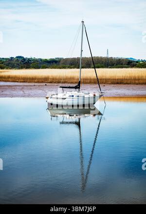 Voilier amarré sur la rivière Exe à Topsham, par une journée ensoleillée et calme. Topsham, Devon, Angleterre, Royaume-Uni. Banque D'Images