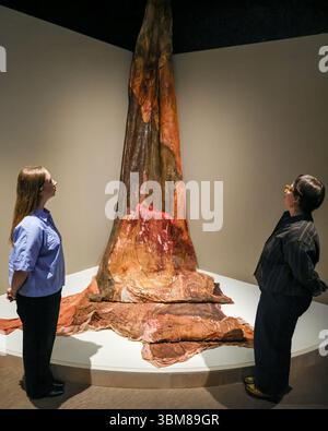 Londres, Royaume-Uni. 25 juin 2025. Personnel du musée avec « Mineral Lick » de Dala Nassek, 2019, qui explore la distribution de l'eau dans la ville de Beyrouth. Wellcome Collection lance sa nouvelle exposition majeure « Thirst : In Search of Freshwater » pendant la semaine d'action climatique de Londres, présentant des objets anciens et des œuvres d'art contemporaines qui explorent l'impact de l'eau douce sur la santé. En cours du 26 juin 2025 au 1er février 2026. Crédit : Imageplotter/Alamy Live News Banque D'Images