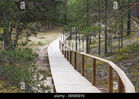 Promenade en bois surélevée courbée avec balustrade enroulée à travers la réserve naturelle de la forêt de pins de la Baltique Banque D'Images