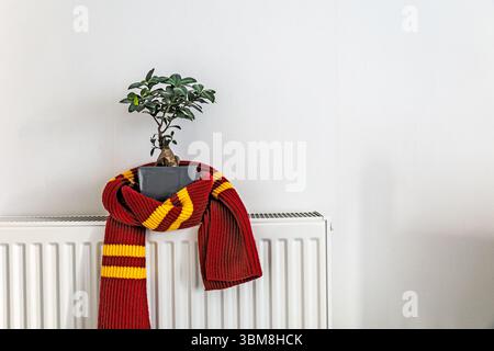 Foulard tricoté rayé rouge et jaune enroulé autour d'une plante en pot sur un radiateur blanc Banque D'Images