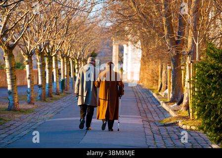 Couple âgé marche bras dans bras le long de l'allée d'automne Banque D'Images