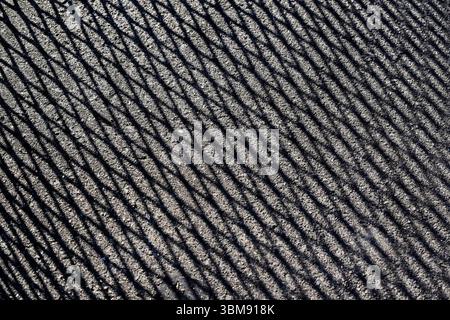 Ombres grillagées sur sol en béton (détail) à Rio de Janeiro, Brésil Banque D'Images