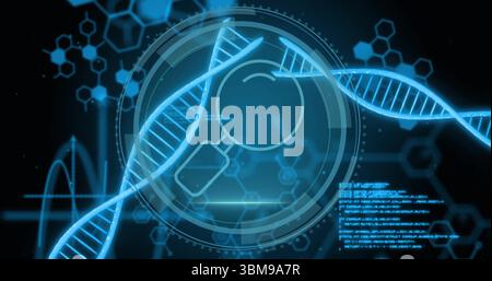 Brin double hélice d'ADN tournant planant au-dessus de l'interface, montrant le HUD, les motifs moléculaires et le code. Biotech, innovation, futuriste, digital, scientif Banque D'Images