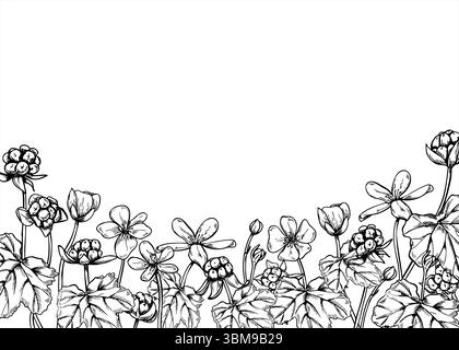 Fleurs de mûrier, baies et feuilles cadre vectoriel monochrome horizontal avec un espace vide pour le texte. Dessin scandinave de baies de marais Illustration de Vecteur