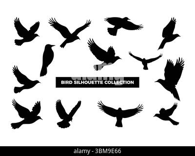 Silhouettes d'oiseaux vectoriels de haute qualité dans diverses poses, volantes, au repos et perchées. Idéal pour les logos, les t-shirts, les affiches et les proj de design sur le thème de la nature Illustration de Vecteur