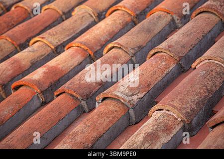 Rangées de tuiles de toit en terre cuite baignées de lumière chaude du soleil, mettant en valeur leur texture altérée et créant un motif visuellement attrayant Banque D'Images