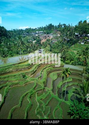 Terrasses de riz de Tegallalang (site du patrimoine mondial de l'UNESCO) près d'Ubud, Bali, Indonésie - aérienne Banque D'Images