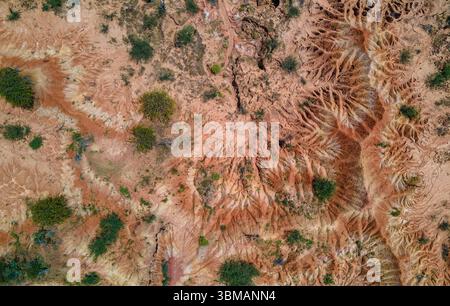 Superbe vue aérienne du paysage unique et coloré du désert de Tatacoa, Huila, Colombie, mettant en valeur ses motifs complexes et sa végétation. Banque D'Images