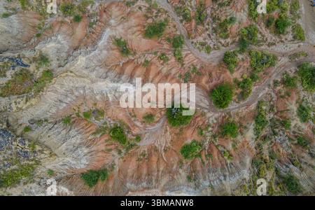 Vue aérienne à couper le souffle du désert de Tatacoa à Huila, en Colombie, mettant en valeur des formations géologiques uniques et une végétation luxuriante. Banque D'Images