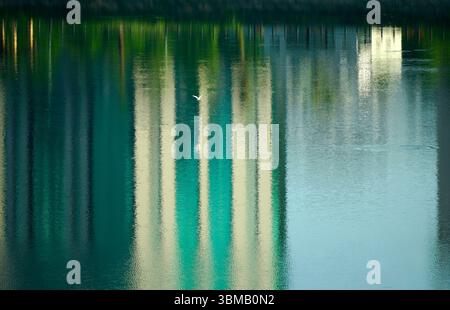 Oiseaux volant au-dessus du lac du parc CV1 au coucher du soleil Banque D'Images