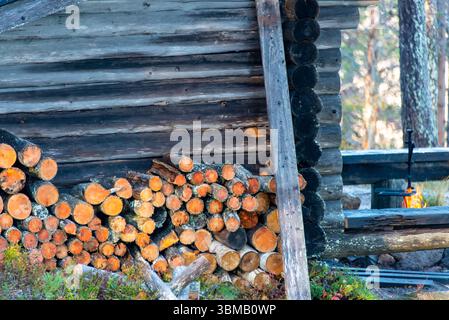 Bois de chauffage dans une cabane en rondins Banque D'Images