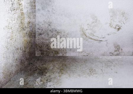 Le coin teinté moisi de la pièce montre une scène intérieure de design plat, avec du plâtre pelable et de la crasse Banque D'Images