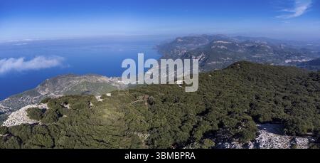 Forêt de chênes indigène de la chaîne de montagnes Tramuntana, forêt Planicia, frontière entre les municipalités de Banyalbufar, Esporles et Puigpunyent. Centre commercial Banque D'Images