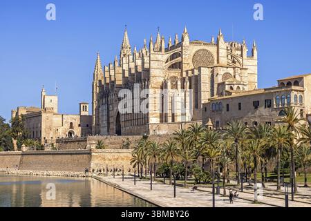 Vue à la cathédrale de Palma une célèbre cathédrale gothique catholique romaine avec les remparts de la ville et le Palais Royal de la Almudaina par un parc public avec palmiers t Banque D'Images