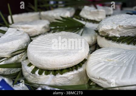 Gaufrettes de fromage typique du Rif, Tétouan, Maroc, Afrique du Nord, Afrique Banque D'Images