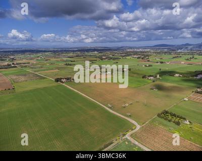 Es Pla de Llodra campagne, Manacor, Majorque, Îles Baléares, Espagne, Europe Banque D'Images