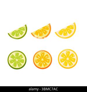 Vecteur d'agrumes. Ensemble vectoriel de citron, orange, tranches de citron vert, sur fond blanc. Illustration de Vecteur