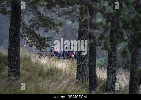 Pèlerins sur le Camino de Santiago marchant dans la forêt de la colline de Foncebadon, région de Bierzo, Castille-et-Léon, Espagne, Europe Banque D'Images