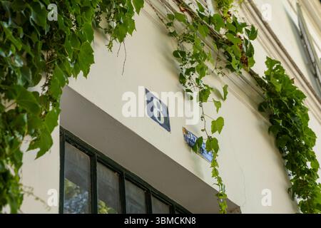 Gros plan du mur extérieur d'un bâtiment, recouvert d'un lierre vert luxuriant. Le numéro huit est affiché bien en évidence sur une tuile bleue. L'image évoque Banque D'Images
