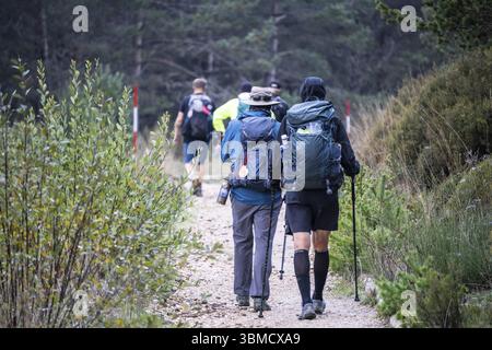 Pèlerins sur le Camino de Santiago marchant dans la forêt de la colline de Foncebadon, région de Bierzo, Castille-et-Léon, Espagne, Europe Banque D'Images