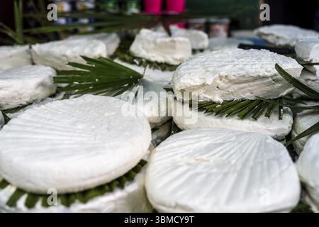 Gaufrettes de fromage typique du Rif, Tétouan, Maroc, Afrique du Nord, Afrique Banque D'Images