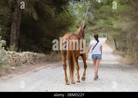 Itinéraires d'équitation, CAN Mayans, Santa Gertrudis de Fruitera, Ibiza, Îles Baléares, Espagne, Europe Banque D'Images