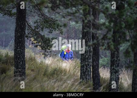 Pèlerins sur le Camino de Santiago marchant dans la forêt de la colline de Foncebadon, région de Bierzo, Castille-et-Léon, Espagne, Europe Banque D'Images