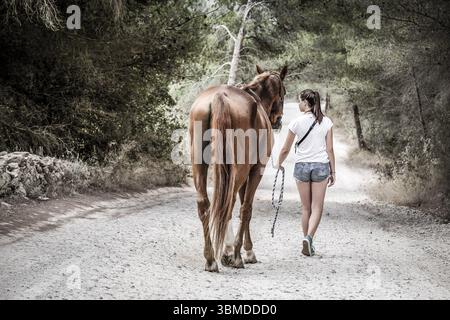 Itinéraires d'équitation, CAN Mayans, Santa Gertrudis de Fruitera, Ibiza, Îles Baléares, Espagne, Europe Banque D'Images