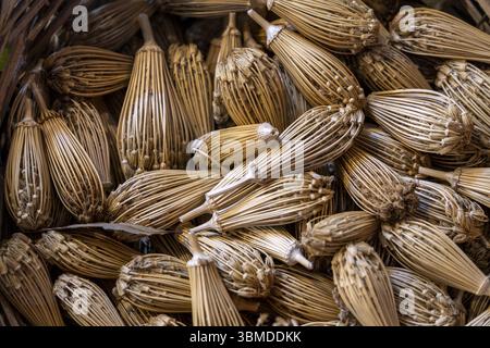 Bâtonnets d'anis pour l'hygiène bucco-dentaire, marché souk, Tanger, Maroc, Afrique du Nord, Afrique Banque D'Images