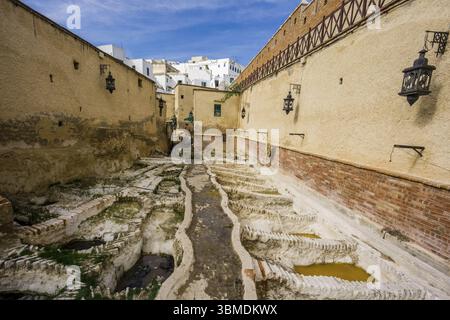 Tannerie, Médina de Tetuan, Patrimoine mondial de l'UNESCO, Maroc, Afrique du Nord, continent africain, Afrique Banque D'Images