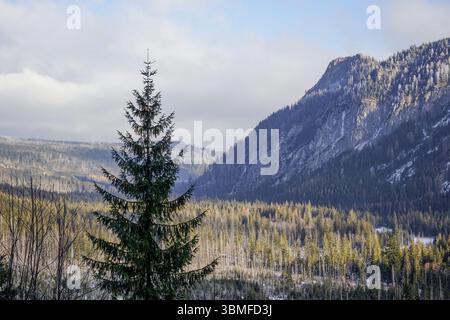 Sentier rouge vers Morskie Oko dans le parc national des Tatra, Pologne Banque D'Images