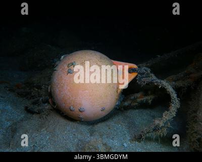 Bouée d'amarrage orange sous l'eau Banque D'Images
