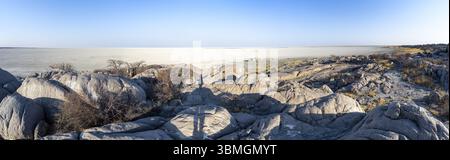 Vue sur la marmite salante de l'île de Kubu avec des roches rondes, baobab africain (Adansonia digitata), île de Kubu (Lekubu), Sowa Pan, marmite saline de Makgadikgadi, B. Banque D'Images