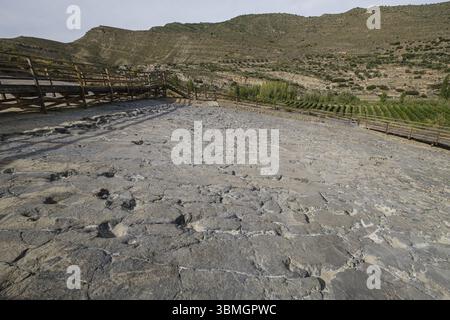 Traces de dinosaures, site des ichnites de la Era del Peladillo, Igea, la Rioja, Espagne, Europe Banque D'Images