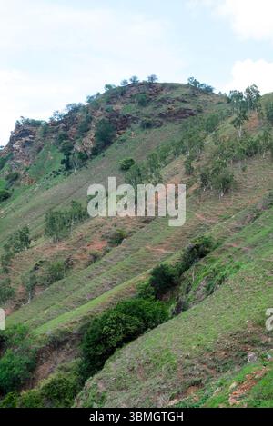 Belle vue sur les collines Cristo Rei à Dili, Timor Leste. Banque D'Images