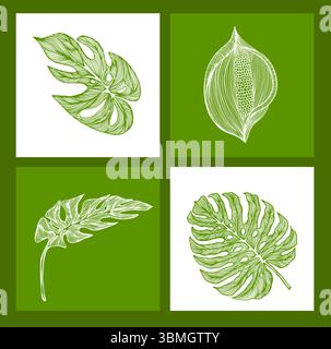 Monstera laisse des objets dans des cadres. dessin à la main. Pas ai, illustration vectorielle Illustration de Vecteur