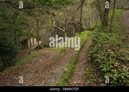 Forge médiévale de Compludo, vallée de Compludo, Ponferrada, région de Bierzo, Castille-et-Léon, Espagne, Europe Banque D'Images