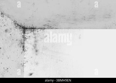 Illustration de coin moisi de conception plate montrant des murs de plâtre humides fusionnant à la couture avec des stries de crasse Banque D'Images