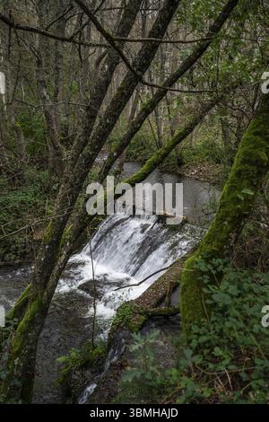 Forge médiévale de Compludo, vallée de Compludo, Ponferrada, région de Bierzo, Castille-et-Léon, Espagne, Europe Banque D'Images