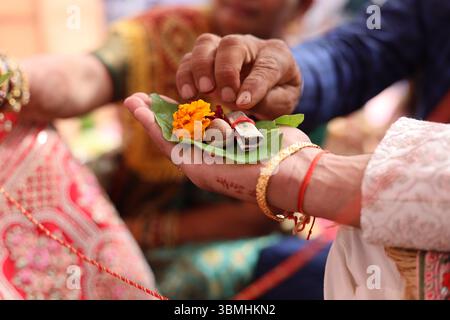placer une noix de bétel (supari), curcuma, pièces de monnaie, et une fleur de souci sur une feuille de bétel verte qui est tenue par un autre individu. Banque D'Images