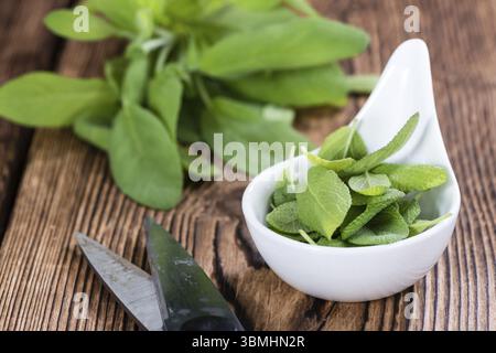 Herbes fraîches (Sage) sur fond de bois vintage (gros plan) Banque D'Images