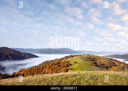 Le brouillard matinal coulant s'étend sur les collines d'automne couvertes d'orangers. Photographie de paysage Banque D'Images