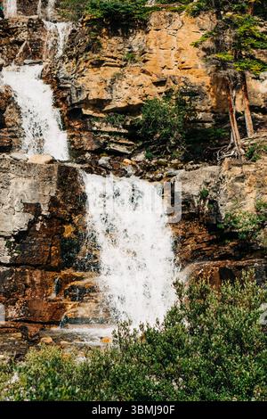 Tangle Creek Falls dans le parc national Jasper Banque D'Images