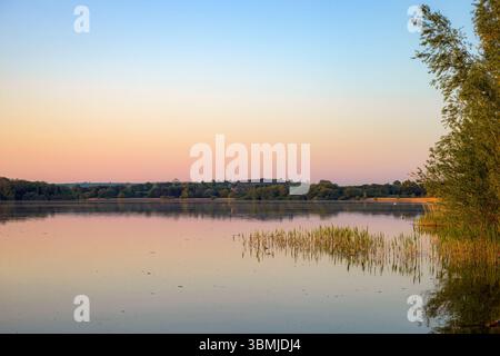Coucher de soleil de couleur pastel pâle alors que le soleil se couche sur le lac Chew Valley dans le Somerset, au Royaume-Uni, avec des milliers de mouches dans le ciel, montrant comme de minuscules taches Banque D'Images