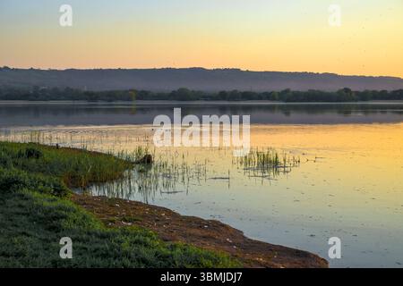 Coucher de soleil de couleur pastel pâle alors que le soleil se couche sur le lac Chew Valley dans le Somerset, au Royaume-Uni, avec des milliers de mouches dans le ciel, montrant comme de minuscules taches Banque D'Images