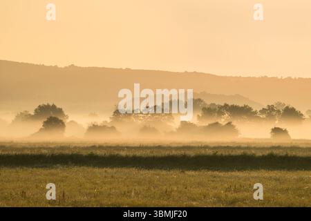Jolie scène rurale, campagne avec brume tôt le matin juste après le lever du soleil, prise près de Meare, Somerset, Royaume-Uni Banque D'Images