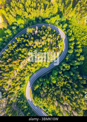 Une route goudronnée sinueuse serpente à travers une vallée forestière verdoyante, entourée de grands arbres et d'une beauté naturelle, invitant à l'exploration et à l'aventure dans un cadre serein. Banque D'Images
