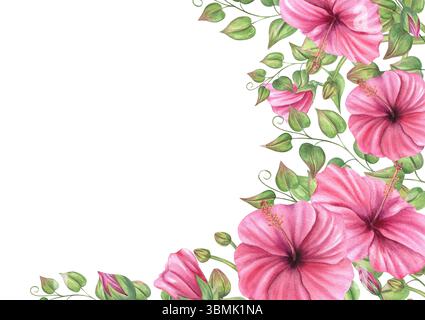 Hibiscus rose aquarelle avec des bourgeons d'orchidée et des plantes grimpantes bordure carrée arrière-plan isolé. Cadre de fleurs peintes à la main avec espace de copie pour le texte. Banque D'Images